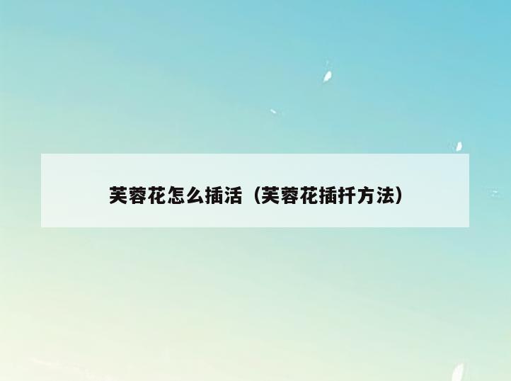 芙蓉花怎么插活(芙蓉花插扦方法)