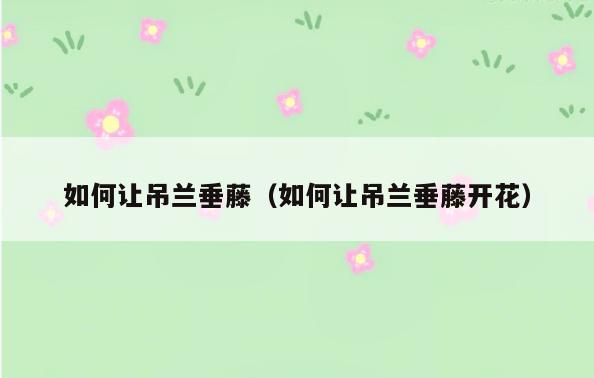 如何让吊兰垂藤(如何让吊兰垂藤开花)