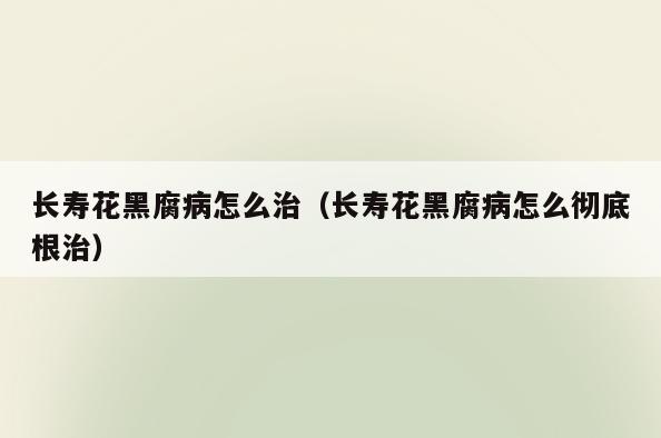 长寿花黑腐病怎么治(长寿花黑腐病怎么彻底根治)