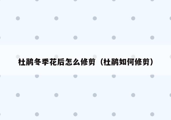 杜鹃冬季花后怎么修剪(杜鹃如何修剪)