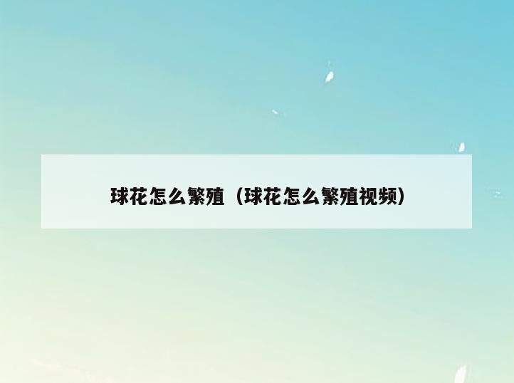 球花怎么繁殖(球花怎么繁殖视频)