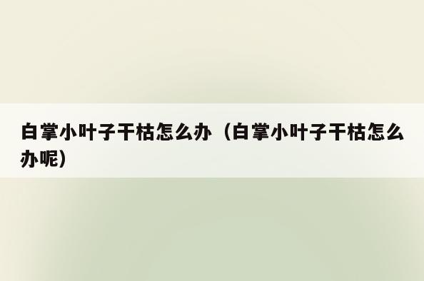 白掌小叶子干枯怎么办(白掌小叶子干枯怎么办呢)