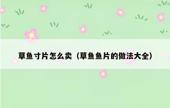 草鱼寸片怎么卖(草鱼鱼片的做法大全)