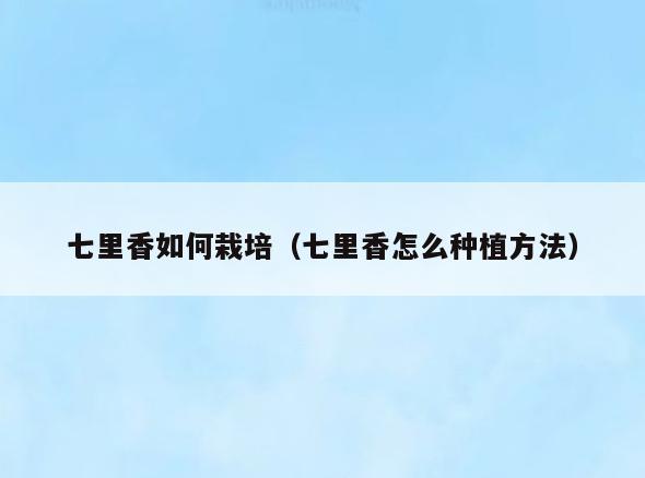 七里香如何栽培(七里香怎么种植方法)
