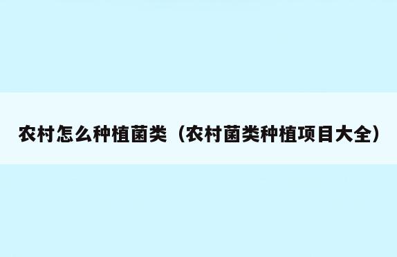 农村怎么种植菌类(农村菌类种植项目大全)