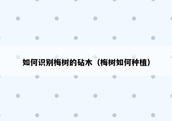如何识别梅树的砧木(梅树如何种植)