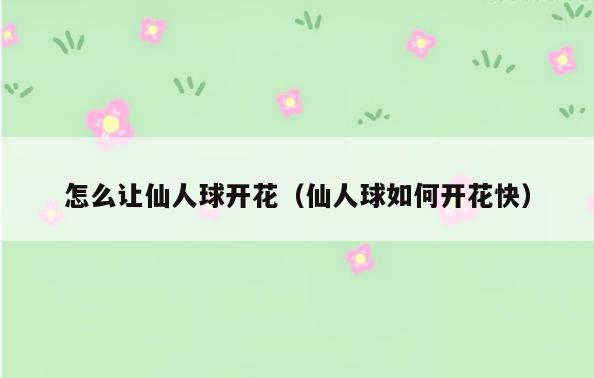 怎么让仙人球开花(仙人球如何开花快)