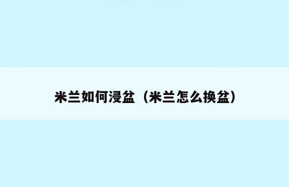 米兰如何浸盆(米兰怎么换盆)