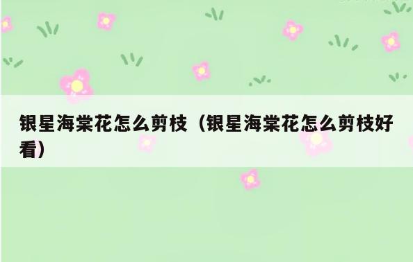 银星海棠花怎么剪枝(银星海棠花怎么剪枝好看)