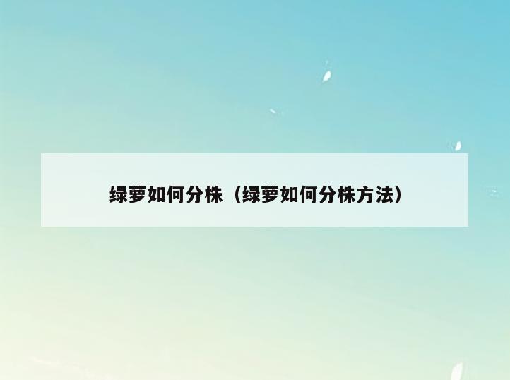绿萝如何分株(绿萝如何分株方法)