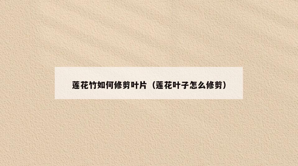 莲花竹如何修剪叶片(莲花叶子怎么修剪)