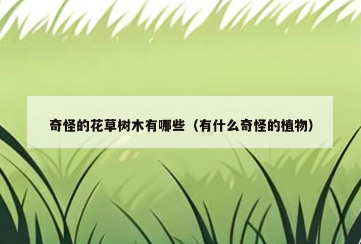奇怪的花草树木有哪些(有什么奇怪的植物)