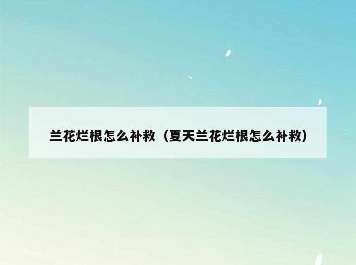 兰花烂根怎么补救(夏天兰花烂根怎么补救)