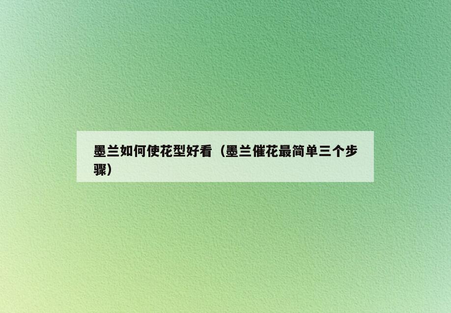 墨兰如何使花型好看(墨兰催花最简单三个步骤)