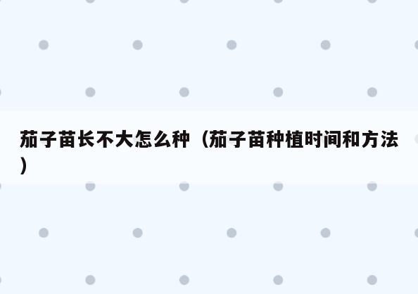 茄子苗长不大怎么种(茄子苗种植时间和方法)