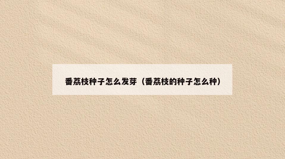 番荔枝种子怎么发芽(番荔枝的种子怎么种)