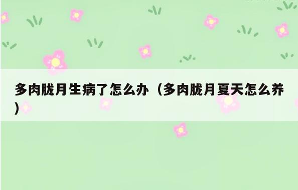 多肉胧月生病了怎么办(多肉胧月夏天怎么养)