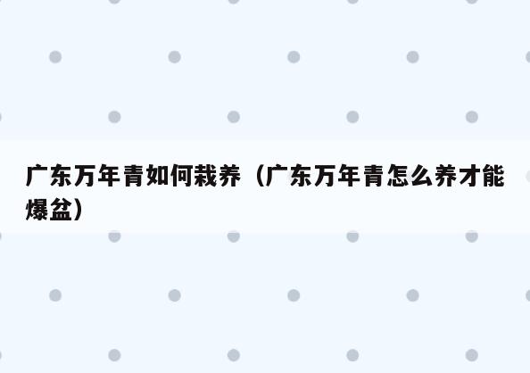 广东万年青如何栽养(广东万年青怎么养才能爆盆)