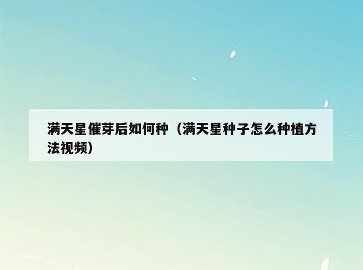 满天星催芽后如何种(满天星种子怎么种植方法视频)