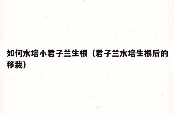 如何水培小君子兰生根(君子兰水培生根后的移栽)