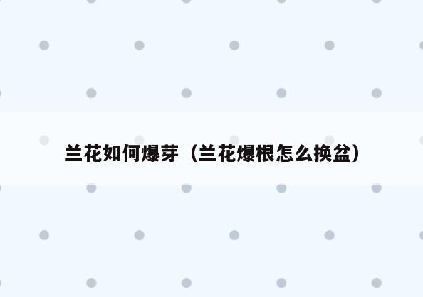 兰花如何爆芽(兰花爆根怎么换盆)