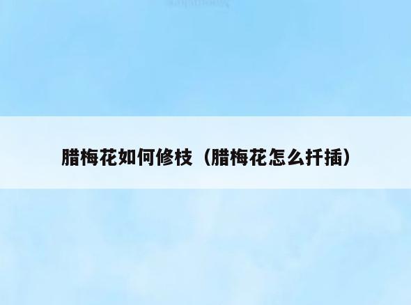 腊梅花如何修枝(腊梅花怎么扦插)