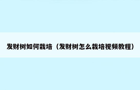 发财树如何栽培(发财树怎么栽培视频教程)