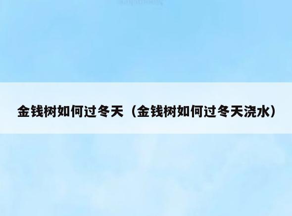 金钱树如何过冬天(金钱树如何过冬天浇水)