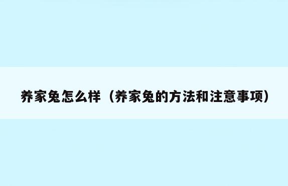 养家兔怎么样(养家兔的方法和注意事项)