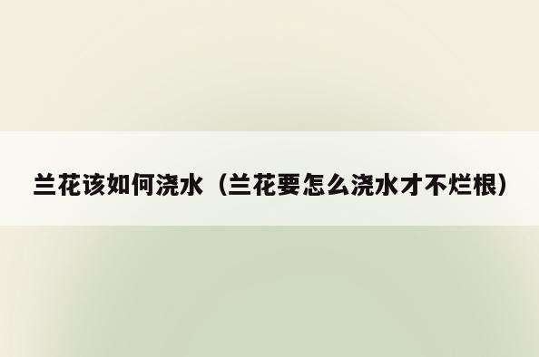 兰花该如何浇水(兰花要怎么浇水才不烂根)