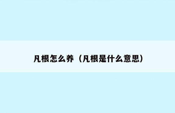 凡根怎么养(凡根是什么意思)