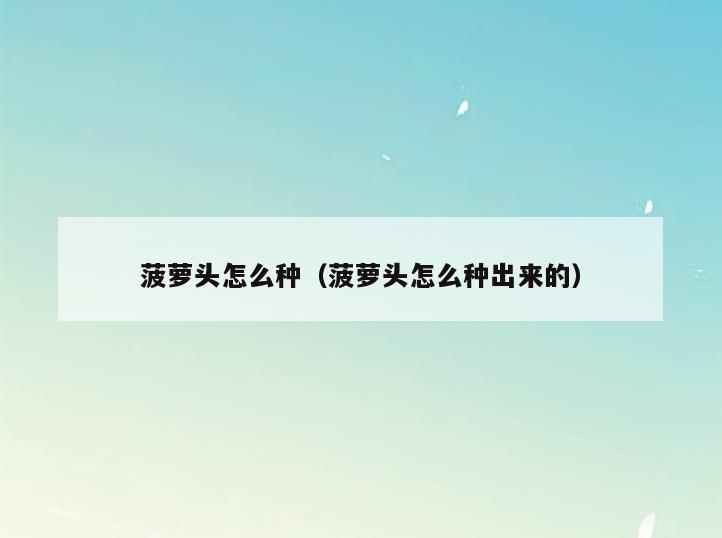 菠萝头怎么种(菠萝头怎么种出来的)
