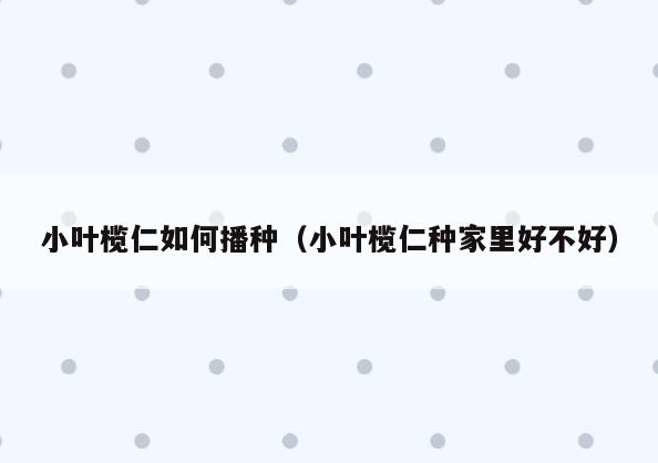 小叶榄仁如何播种(小叶榄仁种家里好不好)