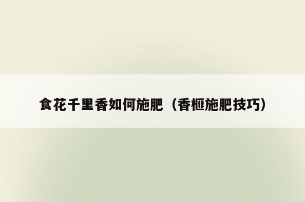 食花千里香如何施肥(香榧施肥技巧)