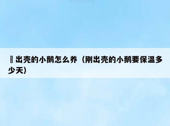 剛出壳的小鹅怎么养(刚出壳的小鹅要保温多少天)