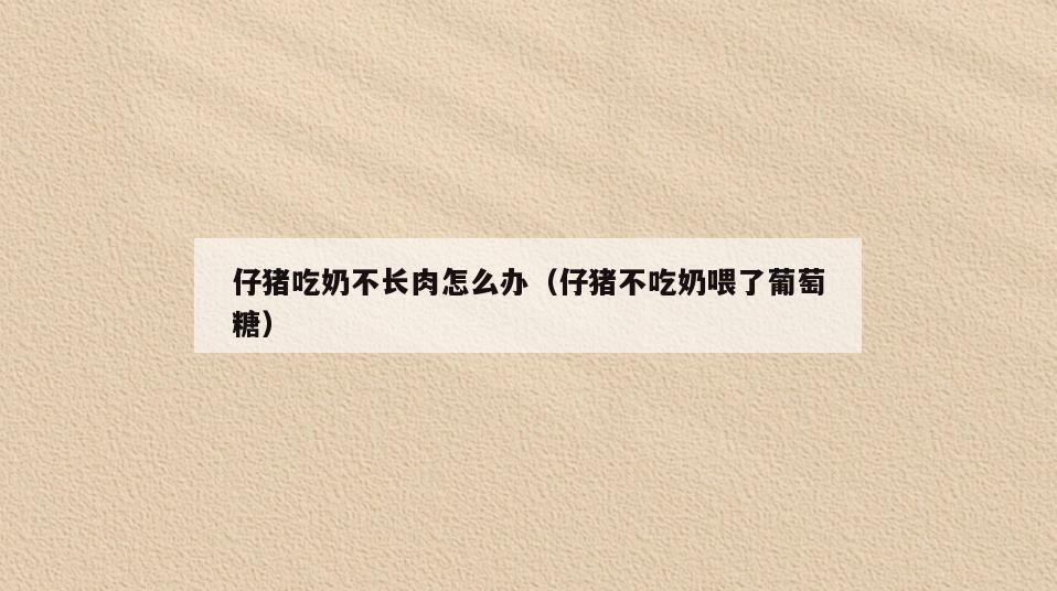 仔猪吃奶不长肉怎么办(仔猪不吃奶喂了葡萄糖)