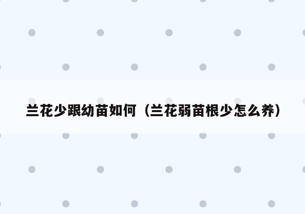 兰花少跟幼苗如何(兰花弱苗根少怎么养)