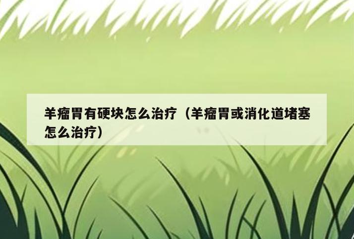 羊瘤胃有硬块怎么治疗(羊瘤胃或消化道堵塞怎么治疗)