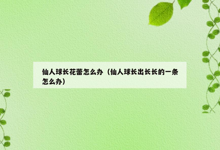 仙人球长花蕾怎么办(仙人球长出长长的一条怎么办)