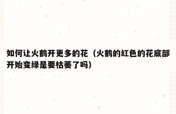如何让火鹤开更多的花(火鹤的红色的花底部开始变绿是要枯萎了吗)