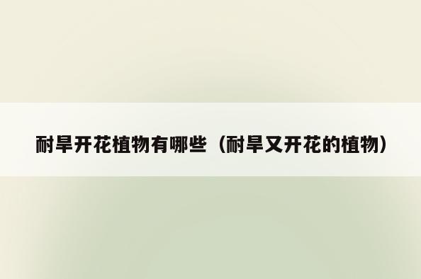 耐旱开花植物有哪些(耐旱又开花的植物)