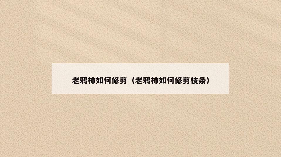 老鸦柿如何修剪(老鸦柿如何修剪枝条)