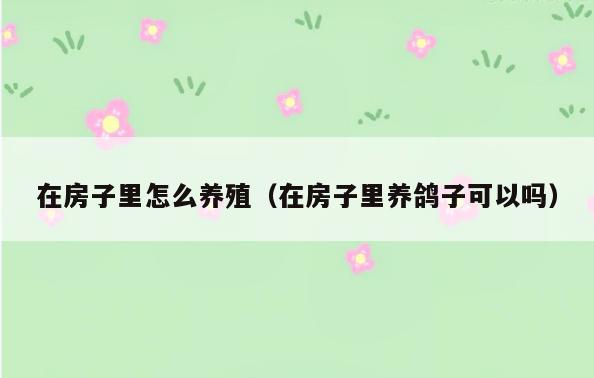 在房子里怎么养殖(在房子里养鸽子可以吗)