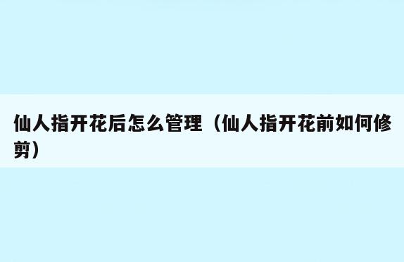 仙人指开花后怎么管理(仙人指开花前如何修剪)