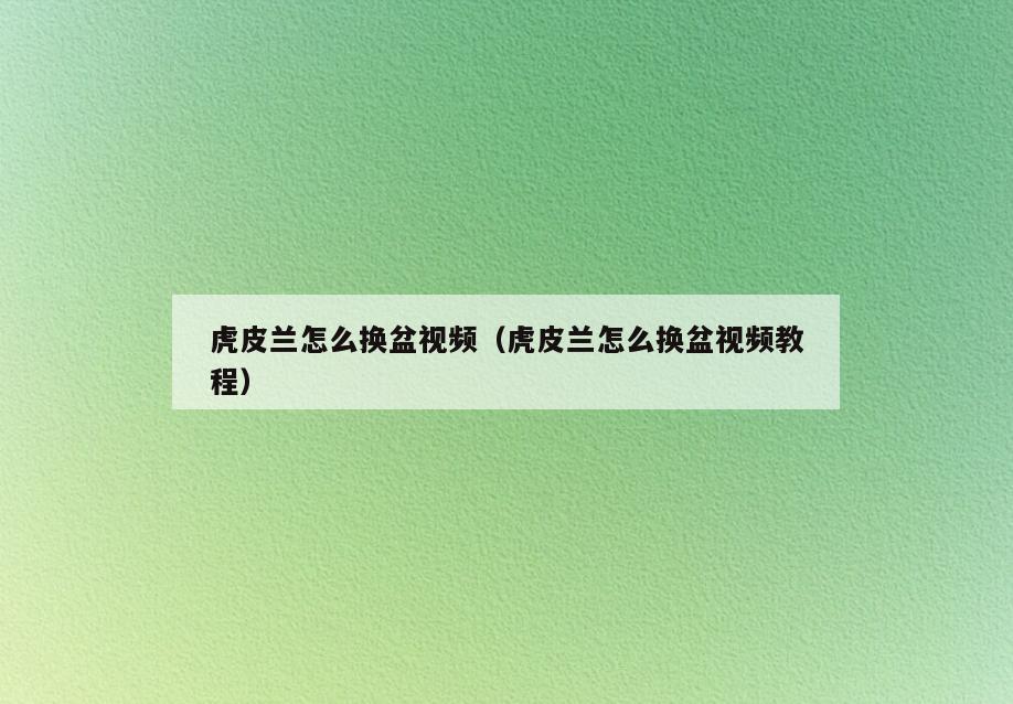 虎皮兰怎么换盆视频(虎皮兰怎么换盆视频教程)