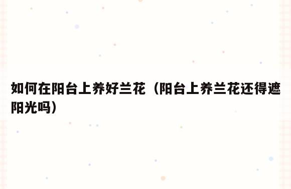 如何在阳台上养好兰花(阳台上养兰花还得遮阳光吗)