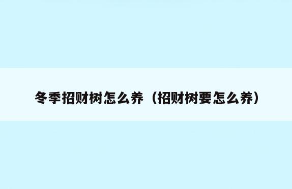 冬季招财树怎么养(招财树要怎么养)