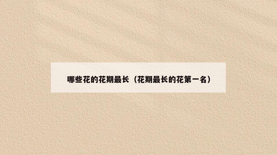 哪些花的花期最长(花期最长的花第一名)