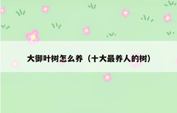 大御叶树怎么养(十大最养人的树)