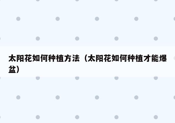 太阳花如何种植方法(太阳花如何种植才能爆盆)
